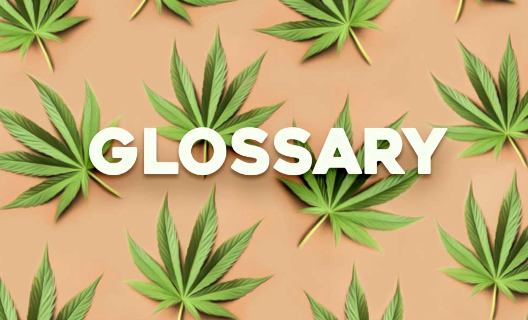 Cannabis Glossary – The Green House